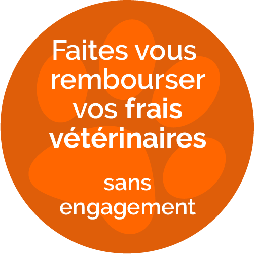 assurance_animaux
